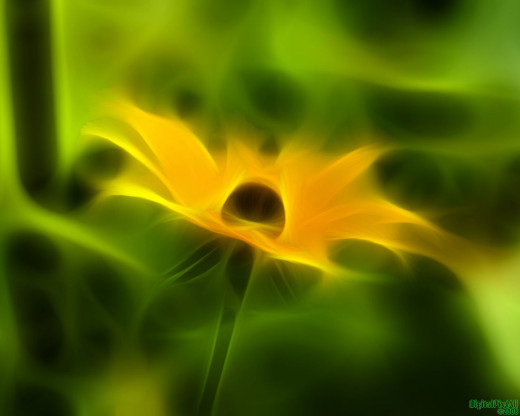 18593 (a): :1280x1024